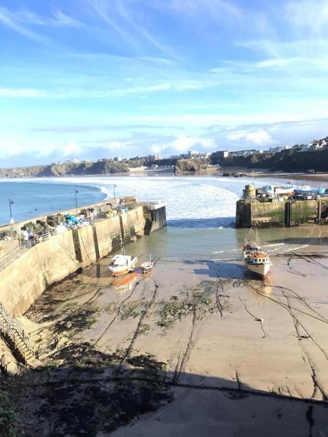 Alderberry Lodge New Quay Extérieur photo