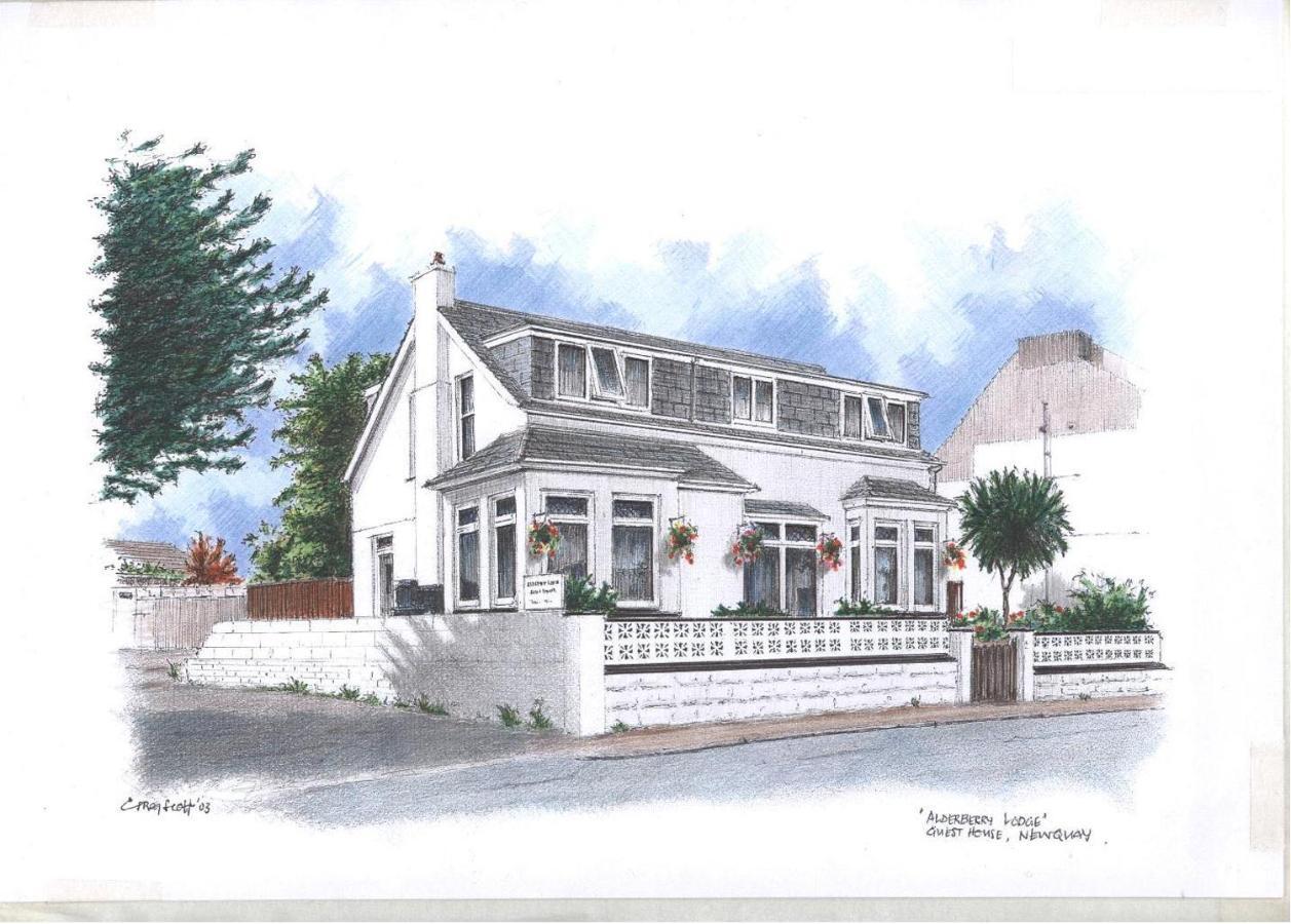 Alderberry Lodge New Quay Extérieur photo
